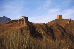 山口市でペット可の物件を賃貸したい